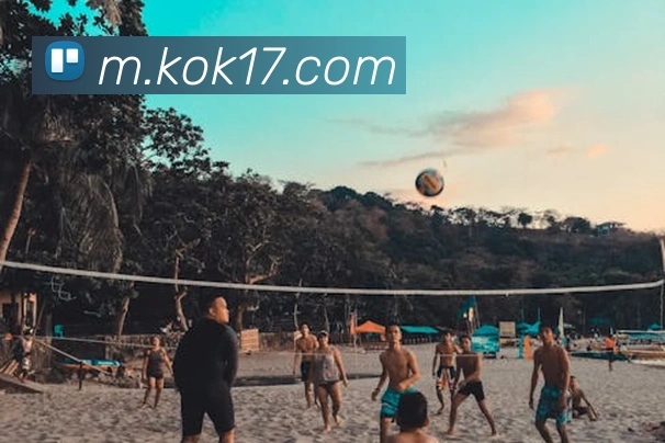 奖项证书